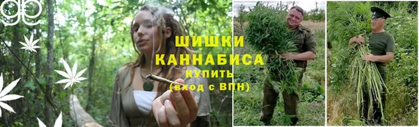 прущая мука Осташков