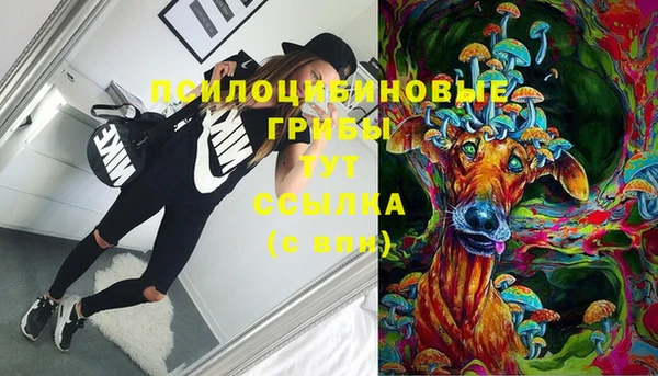 МДПВ Остров